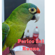 Images sticker 9