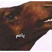 abdo sticker 1