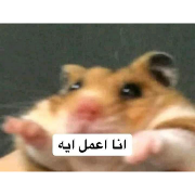 abdo sticker 10