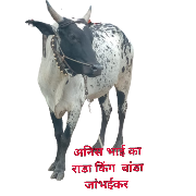 swapnil sticker 1