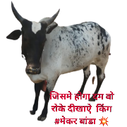 swapnil sticker 2