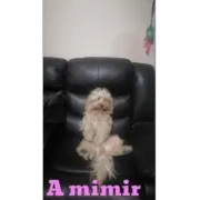 meri sticker 3