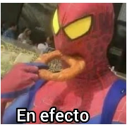 puto el que robe menos Teo sticker 10