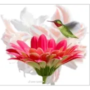 Flowers sticker 3