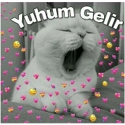 MehmeT sticker 5