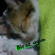 MehmeT sticker 4
