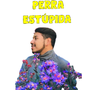 Mosqueperras sticker 9
