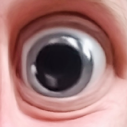 BeissnerC